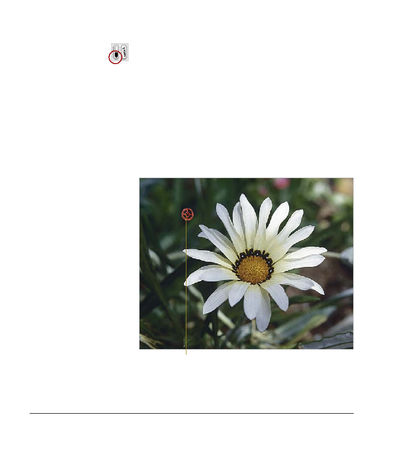 Manual (2006-11-27) :: LaserSoft Imaging