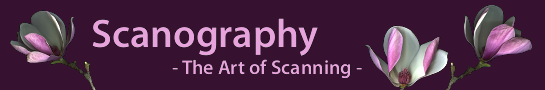 scanography_en