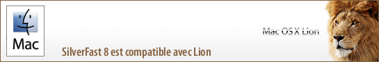 banner_lion_fr