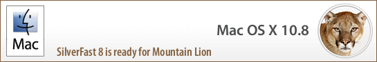 banner_mountain_lion_en