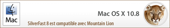 banner_mountain_lion_fr