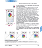 c5.05correcciondecolorglobal_es_2004-01-09