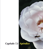 c7.03apendice_es_2004-01-09