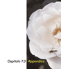 c7.03appendice_it_2003-12-18