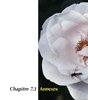 ch7.03annexes_fr_2007-10-29