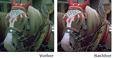 highlight_auto_v_n_de