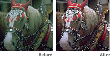 highlight_auto_v_n_en