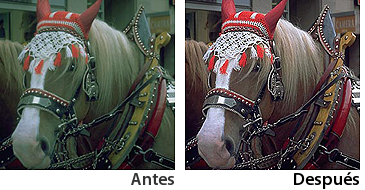 highlight_auto_v_n_es