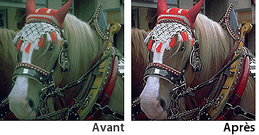 highlight_auto_v_n_fr