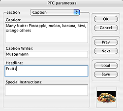 iptc_objektbeschreibung_en