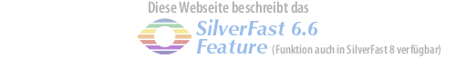 logo_sf6.6_de