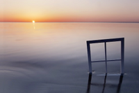 2012-photograph-of-the-year-1st_small