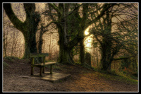 jonny_andrews_2_small