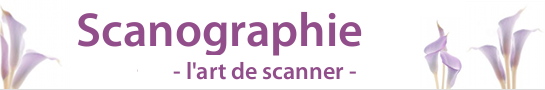 scanography_banner_545x90_fr