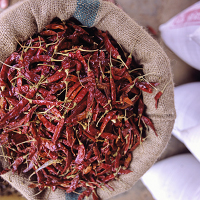 stritzke_sri_lanka_02_small