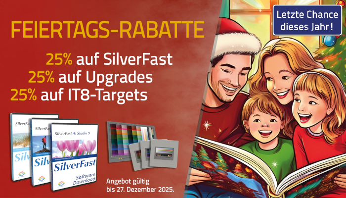 banner_2025-xmas_website_de