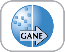 GANE – Grain and Noise Elimination Icon
