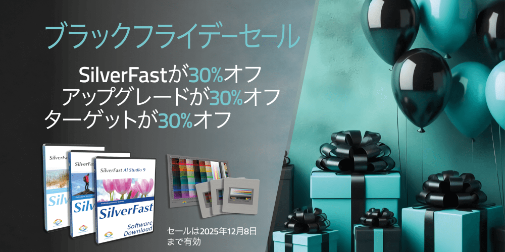 Banner Black Friday 2025